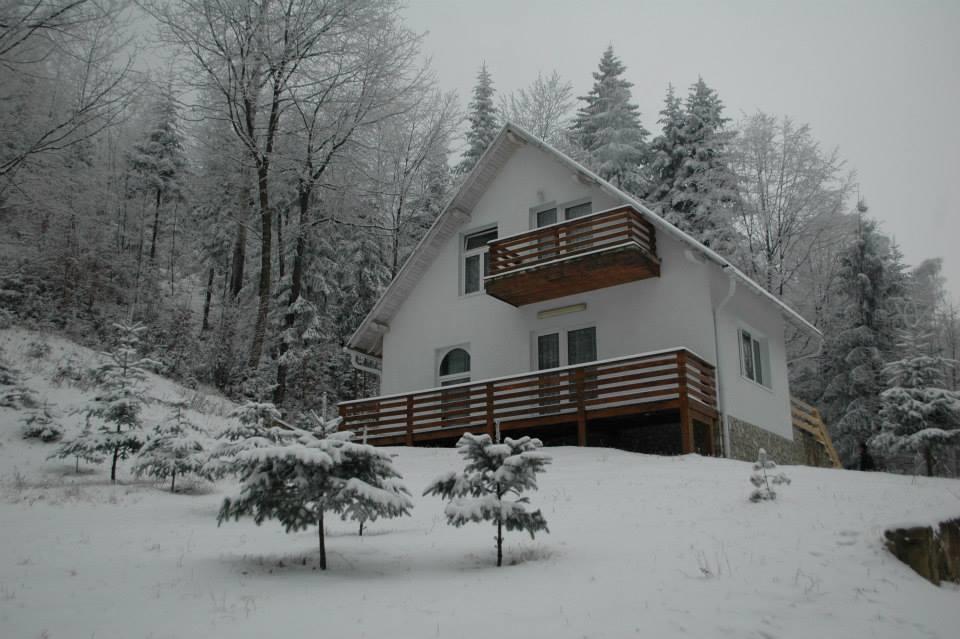 Soaptele Padurii & Casuta Din Padure Sucevita Room photo