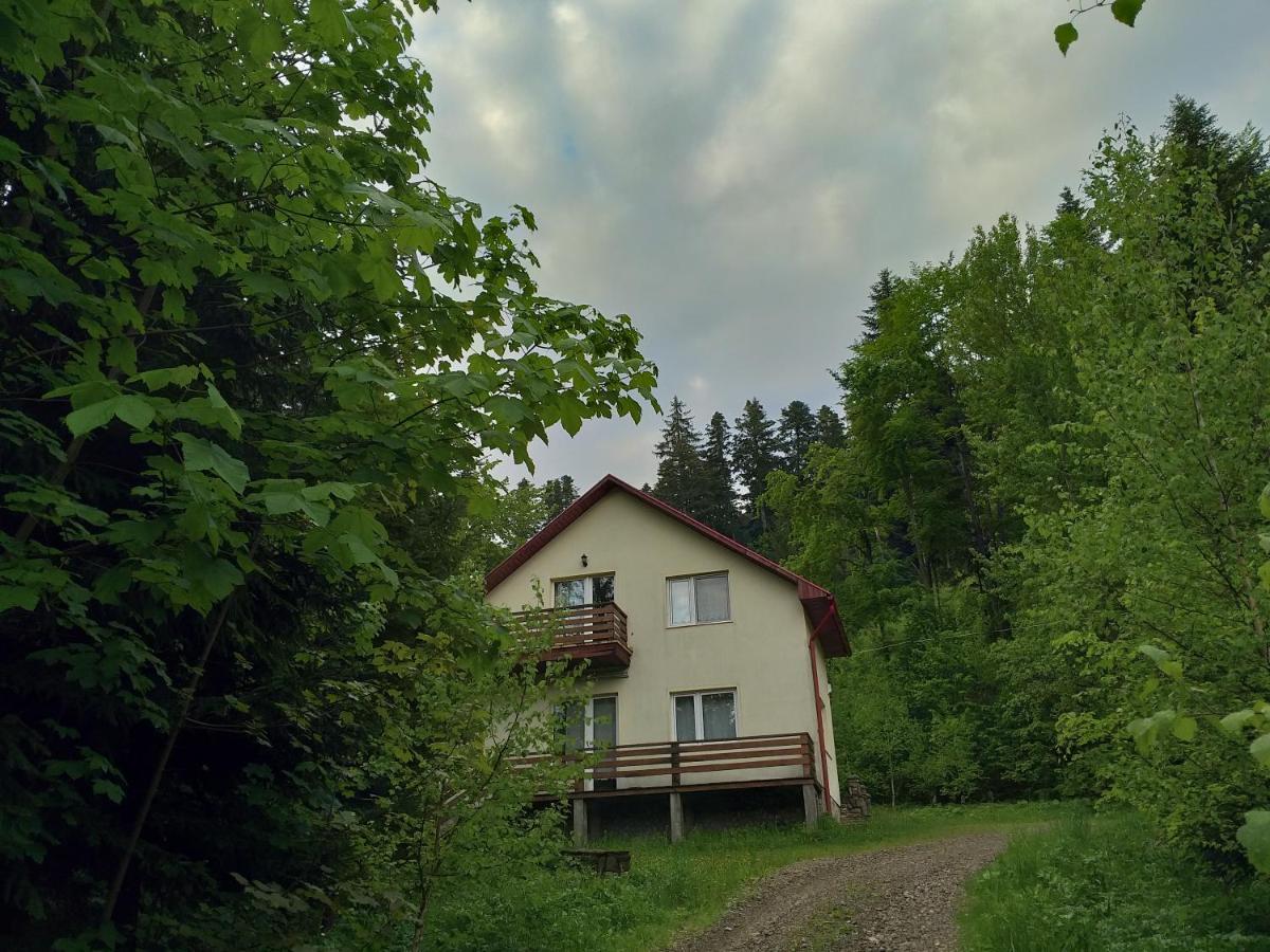 Soaptele Padurii & Casuta Din Padure Sucevita Exterior photo